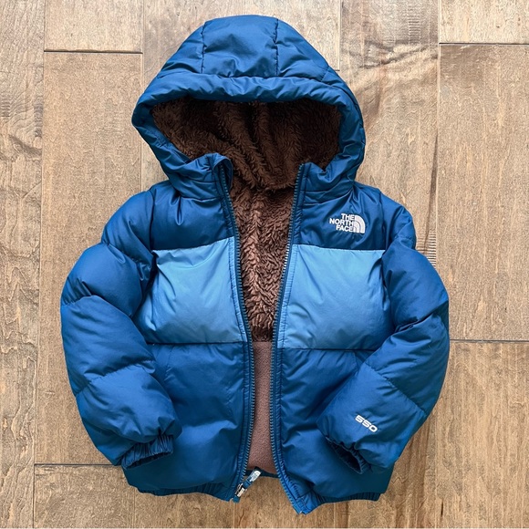 The North Face Other - North Face Toddler Moondoggy Parka in Monterey Blue